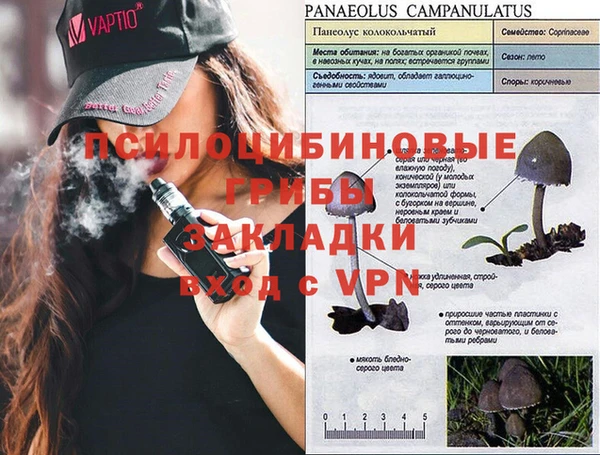хмурый Михайлов
