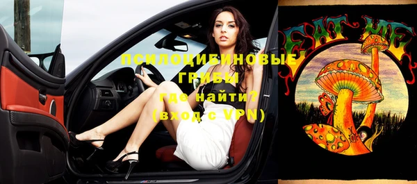 хмурый Михайлов