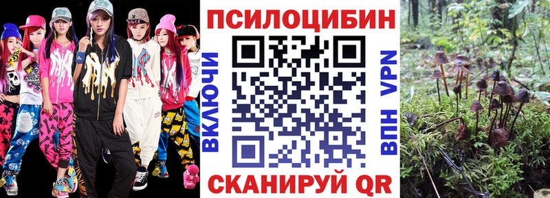 магазин  наркотиков  Шатура  Псилоцибиновые грибы GOLDEN TEACHER 