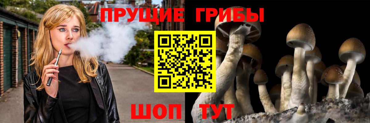 Галлюциногенные грибы MAGIC MUSHROOMS Шатура