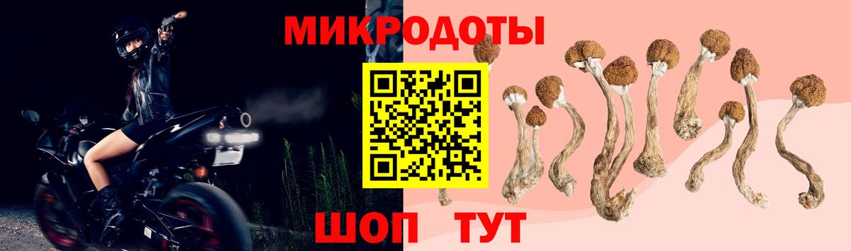 Галлюциногенные грибы Psilocybine cubensis  Вход с VPN  где можно купить   Шатура 